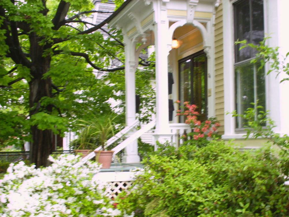 Parkside On Ellery Hotel Cambridge Ngoại thất bức ảnh