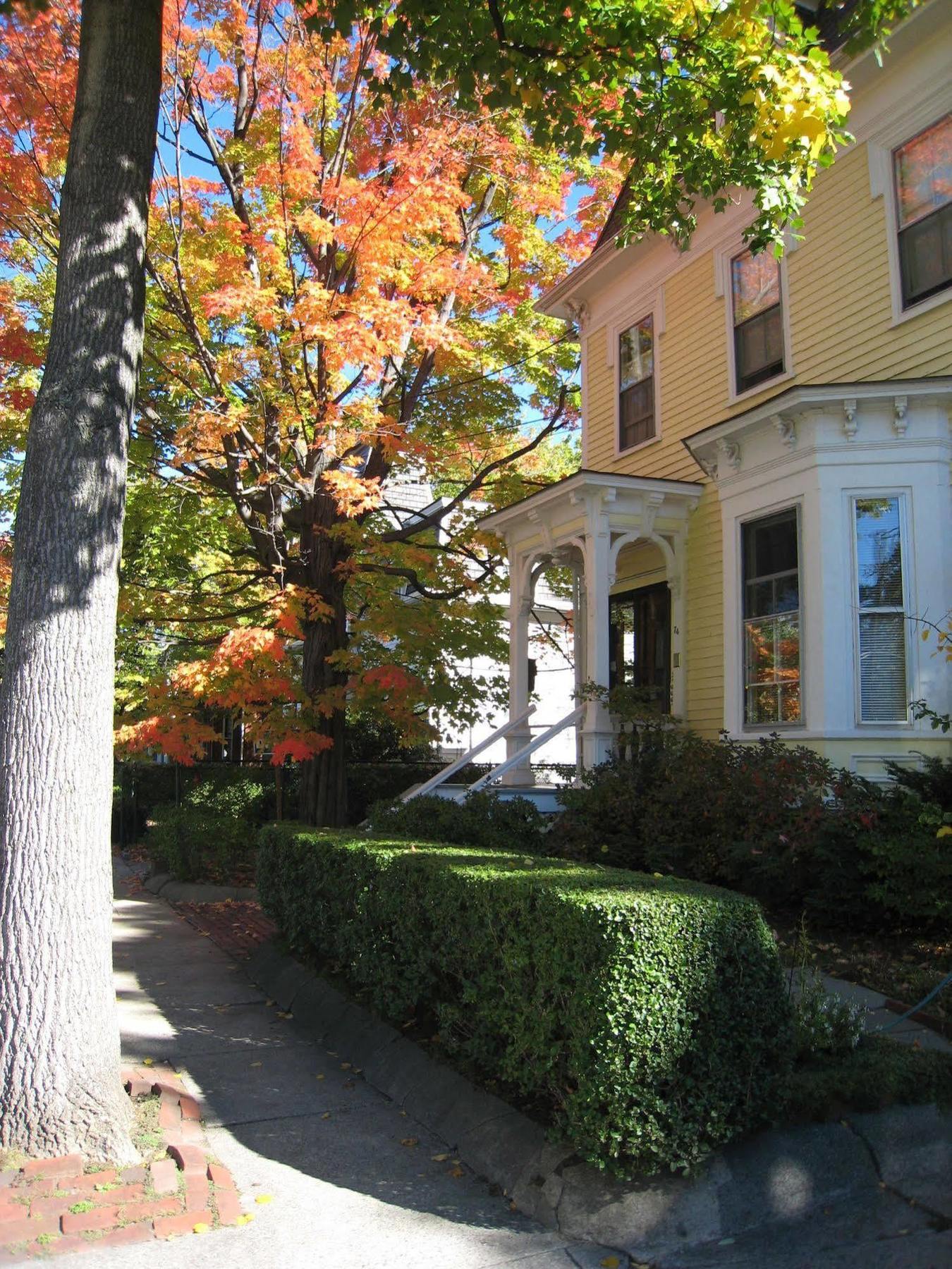 Parkside On Ellery Hotel Cambridge Ngoại thất bức ảnh